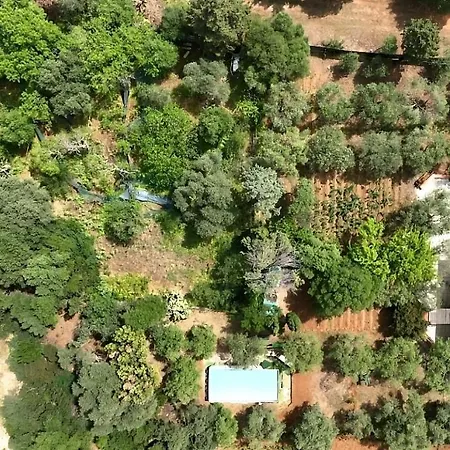 Ottavio - Shardan-apartments Vila