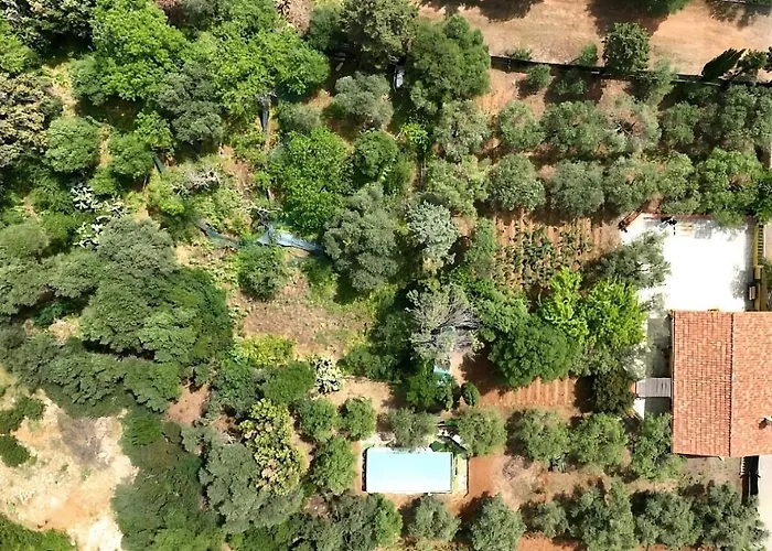 Ottavio - Shardanapartments Villa